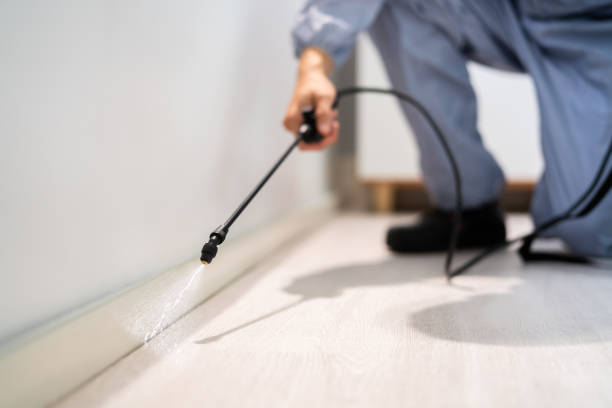 Licensed Pest Control service in Aliquippa, PA - Show Me Pest Control